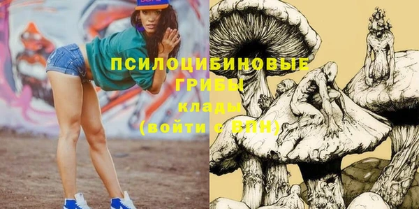 а пвп мука Алзамай