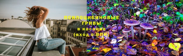 трава Алексеевка