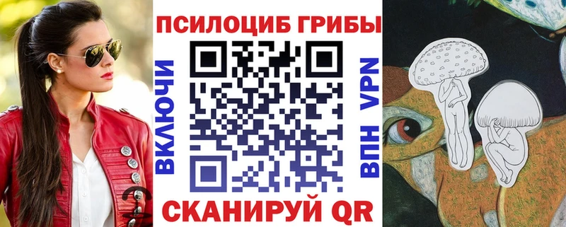 купить   Болхов  Галлюциногенные грибы Magic Shrooms 